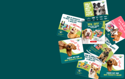 +385% Revenue Growth for Online Pet Store